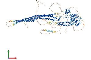 AlphaFold protein structure predicition of Mouse Recombinant Srgap3 Protein, UniprotID Q812A2