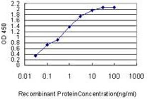 Detection limit for recombinant GST tagged PSMD14 is approximately 0. (PSMD14 antibody  (AA 1-95))