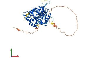 Protein Structure (PS) image for NDRG Family Member 3 (NDRG3) (AA 1-375) protein (His tag) (ABIN7561789)