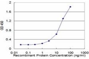 Detection limit for recombinant GST tagged ETF1 is approximately 1ng/ml as a capture antibody. (ETF1 antibody  (AA 338-437))
