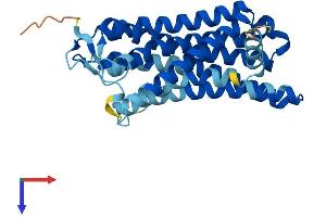 AlphaFold protein structure predicition of Human Recombinant OR2T10 Protein, UniprotID Q8NGZ9 (OR2T10 Protein (AA 1-312) (His tag))
