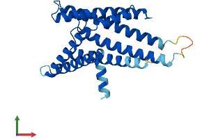 AlphaFold protein structure predicition of Mouse Recombinant Pex11g Protein, UniprotID Q6P6M5 (PEX11G Protein (AA 1-241) (His tag))