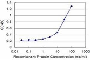 Detection limit for recombinant GST tagged ATP5J is approximately 1ng/ml as a capture antibody. (ATP5J antibody  (AA 1-108))