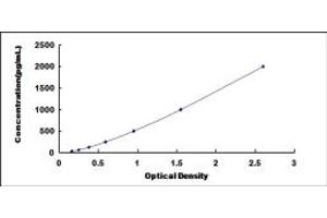 CDK16 ELISA Kit