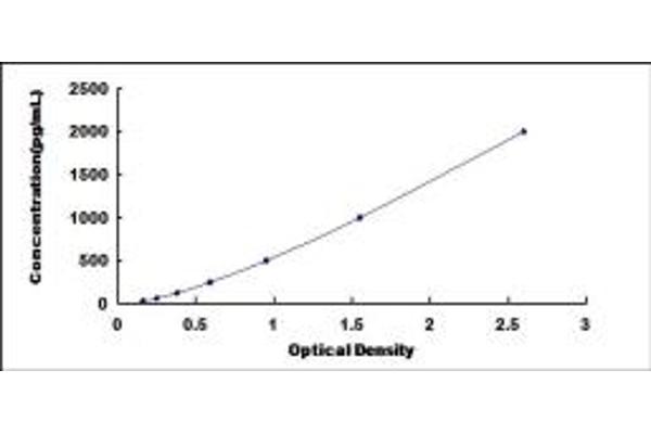 CDK16 ELISA Kit