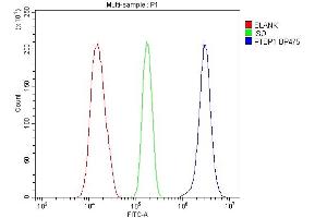 Flow Cytometry analysis of 293T cells using anti-PTBP1 antibody (ABIN7599451). (PTBP1 antibody  (AA 1-504))
