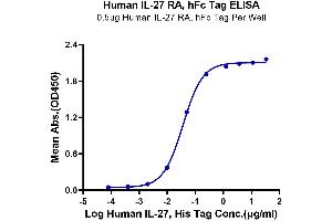 Immobilized Human IL-27 RA, hFc Tag at 5 μg/mL (100 μL/well) on the plate. (IL27 Receptor alpha Protein (AA 34-516) (Fc Tag))