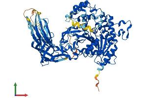 AlphaFold protein structure predicition of Human Recombinant PLA2G4D Protein, UniprotID Q86XP0 (PLA2G4D Protein (AA 1-818) (His tag))