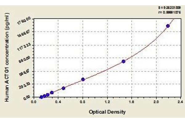 Actin, gamma 1 ELISA Kit