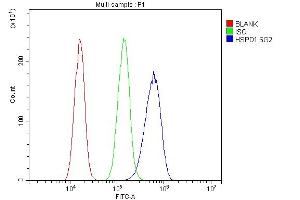Flow Cytometry analysis of A431 cells using anti-HSPD1 antibody (ABIN7600976). (HSPD1 antibody  (AA 260-496))