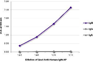 ELISA plate was coated with purified human IgM, IgG, and IgA. (Goat anti-Human IgM (Heavy Chain) Antibody (Alkaline Phosphatase (AP)))
