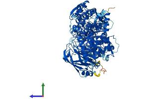 AlphaFold protein structure predicition of Human Recombinant TCAF1 Protein, UniprotID Q9Y4C2