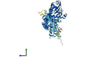 Protein Structure (PS) image for AarF Domain Containing Kinase 5 (ADCK5) (AA 1-580) protein (His tag) (ABIN7551907)