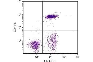 Chicken peripheral blood lymphocytes were stained with Mouse Anti-Chicken CD4-PE. (CD4 antibody  (PE))