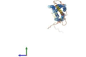 AlphaFold protein structure predicition of Human Recombinant GPRC5D Protein, UniprotID Q9NZD1