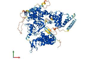 AlphaFold protein structure predicition of Mouse Recombinant Smyd4 Protein, UniprotID Q8BTK5