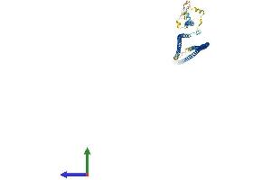 AlphaFold protein structure predicition of Mouse Recombinant Ccdc65 Protein, UniprotID Q8VHI7 (CCDC65 Protein (AA 1-493) (His tag))