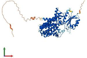AlphaFold protein structure predicition of Human Recombinant PIGB Protein, UniprotID Q92521 (PIGB Protein (AA 1-554) (His tag))