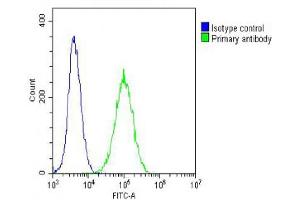 Overlay histogram showing NIH/3T3 cells stained with (ABIN6242659 and ABIN6578660) (green line). (TUBB antibody  (AA 46-78))