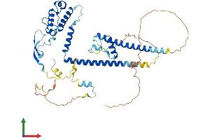 AlphaFold protein structure predicition of Human Recombinant DMAP1 Protein, UniprotID Q9NPF5