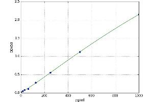 Reactive Oxygen Species Modulator 1 (ROMO1) ELISA Kit
