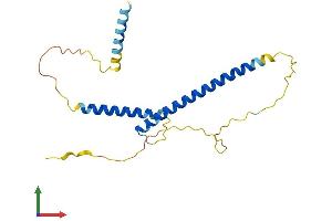AlphaFold protein structure predicition of Mouse Recombinant Mxd4 Protein, UniprotID Q60948 (MXD4 Protein (AA 1-209) (His tag))