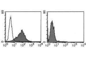 Flow Cytometry (FACS) image for anti-Mesothelin (MSLN) antibody (ABIN1449246) (Mesothelin antibody)