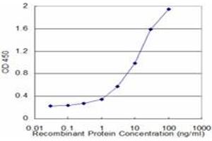 Detection limit for recombinant GST tagged BLMH is approximately 0. (BLMH antibody  (AA 356-454))
