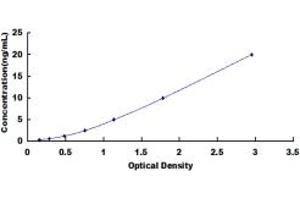 TTBK2 ELISA Kit