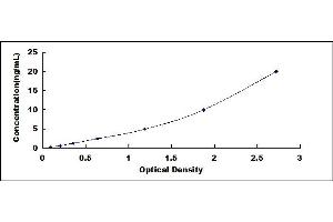 Dynamin 1 ELISA Kit