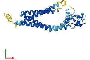 Protein Structure (PS) image for Tetraspanin 3 (TSPAN3) (AA 1-253) protein (His tag) (ABIN7544810)
