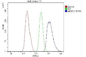 Flow Cytometry analysis of A431 cells using anti-ARNTL2 antibody (ABIN6719445). (ARNTL2 antibody  (AA 461-575))