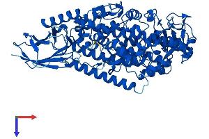 ALOX5 Protein (AA 1-674) (His tag)