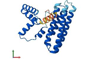 AlphaFold protein structure predicition of Mouse Recombinant Pdcd10 Protein, UniprotID Q8VE70 (PDCD10 Protein (AA 1-212) (His tag))