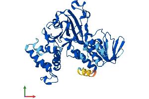 AlphaFold protein structure predicition of Human Recombinant GDI2 Protein, UniprotID P50395 (GDI2 Protein (AA 1-445) (His tag))