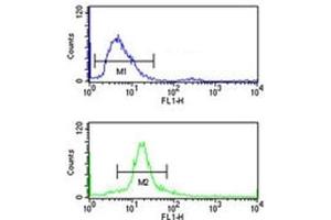 SSB antibody flow cytometry analysis of 293 cells (bottom histogram) compared to a negative control cell (top histogram). (SSB antibody  (AA 66-96))
