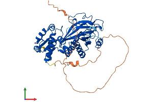 Protein Structure (PS) image for Inositol-Tetrakisphosphate 1-Kinase (ITPK1) (AA 1-419) protein (His tag) (ABIN7564467)