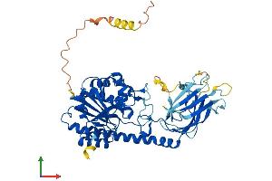 Protein Structure (PS) image for beta-1,3-N-Acetylgalactosaminyl Transferase 2 (B3GALNT2) (AA 1-504) protein (His tag) (ABIN7564329)