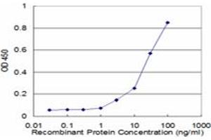 Detection limit for recombinant GST tagged PSMB10 is approximately 3ng/ml as a capture antibody. (PSMB10 antibody  (AA 1-273))