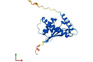 AlphaFold protein structure predicition of Mouse Recombinant Trappc3l Protein, UniprotID Q4KL14