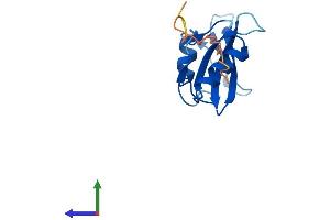 AlphaFold protein structure predicition of Mouse Recombinant Sh2d1a Protein, UniprotID O88890