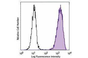 Flow Cytometry (FACS) image for anti-Epidermal Growth Factor Receptor (EGFR) antibody (ABIN2664939) (EGFR antibody)