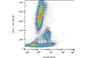 Flow cytometry analysis (surface staining) of human peripheral blood with anti-human CD38 (HIT2) PerCP. (CD38 antibody  (PerCP))