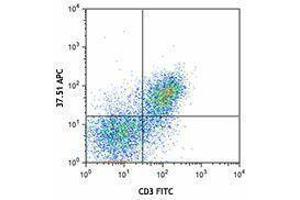 Flow Cytometry (FACS) image for anti-CD28 (CD28) antibody (APC) (ABIN2658578) (CD28 antibody  (APC))