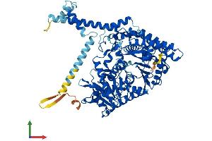 Protein Structure (PS) image for Carnitine Palmitoyltransferase 1B (Muscle) (CPT1B) (AA 1-772) protein (His tag) (ABIN7546721)