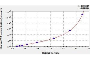 RABEP2 ELISA Kit