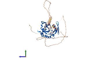 AlphaFold protein structure predicition of Mouse Recombinant Ctdspl2 Protein, UniprotID Q8BG15 (CTDSPL2 Protein (AA 1-465) (His tag))