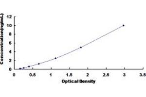 ATP1B3 ELISA Kit