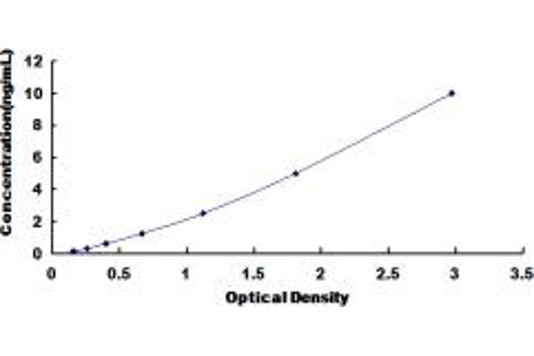 ATP1B3 ELISA Kit