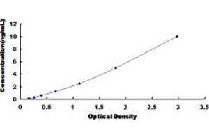 Typical standard curve (ATP1B3 ELISA Kit)